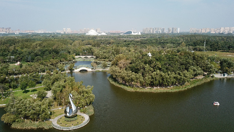 風(fēng)勁潮湧萬象新 ——哈爾濱市以「四個(gè)聚焦」紮實(shí)推動(dòng)「三治一創(chuàng)」走深走實(shí)