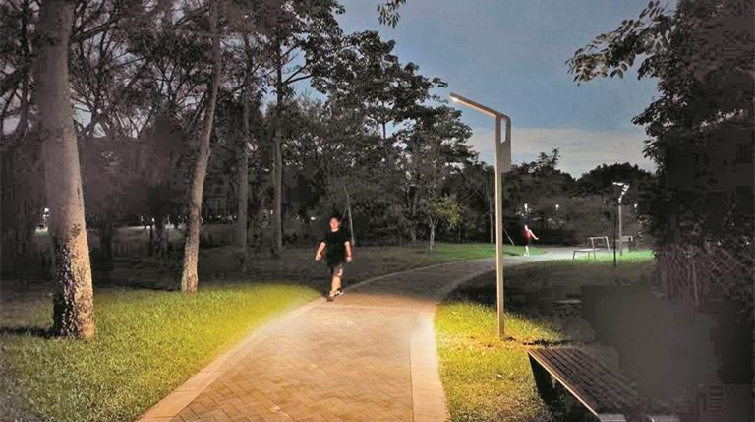 能築巢的路燈來了！國內(nèi)首批生物多樣性友好路燈在深圳落地