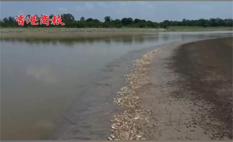 有片丨亞馬遜乾旱持續(xù)，巴西多城已降至「危險(xiǎn)」水平