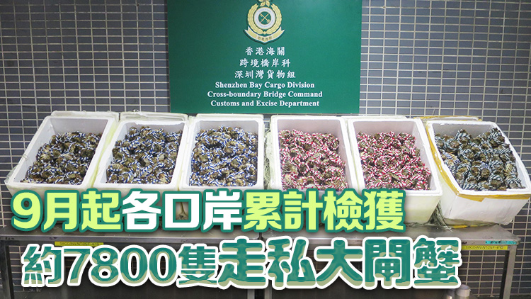 香港海關(guān)聯(lián)合食環(huán)署 於深圳灣檢獲826隻疑走私大閘蟹