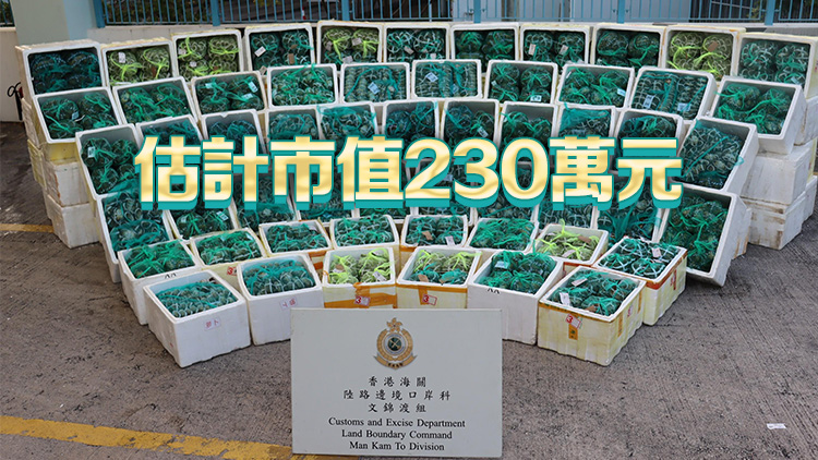 海關(guān)及食環(huán)署於文錦渡檢獲3.4噸走私大閘蟹 拘一貨車司機(jī)