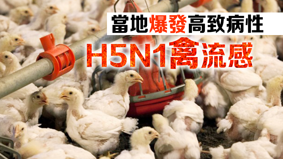 本港暫停進口美國部分地區(qū)禽肉及禽類產(chǎn)品