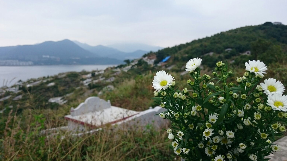 政府移除大頭洲7個(gè)非法墳?zāi)?遺骸遷葬至沙嶺墳場(chǎng)