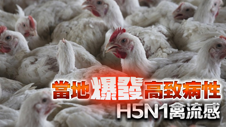本港暫停進(jìn)口韓國(guó)部分地區(qū)禽肉及禽類產(chǎn)品
