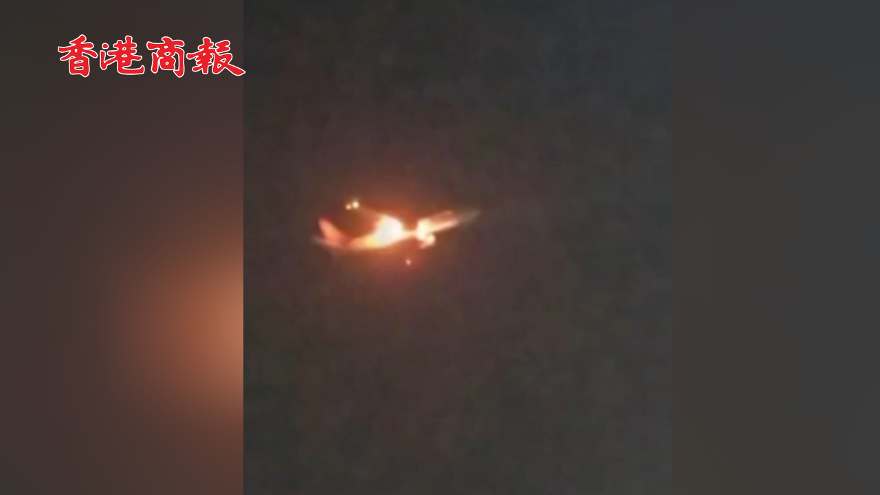 有片丨飛鳥被吸進(jìn)發(fā)動(dòng)機(jī) 韓國一客機(jī)著陸時(shí)引擎起火
