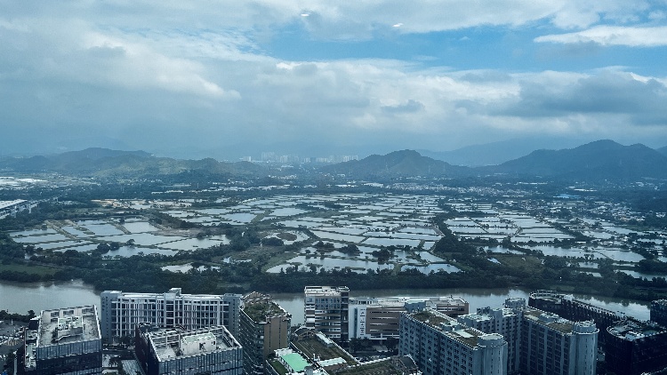 深圳空氣質(zhì)量穩(wěn)居全國超大城市第一