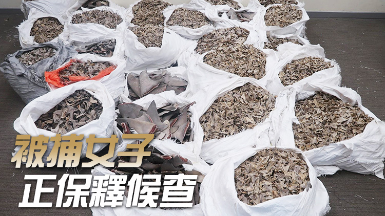 海關(guān)機場檢約800公斤懷疑受管制乾魚翅 拘1人