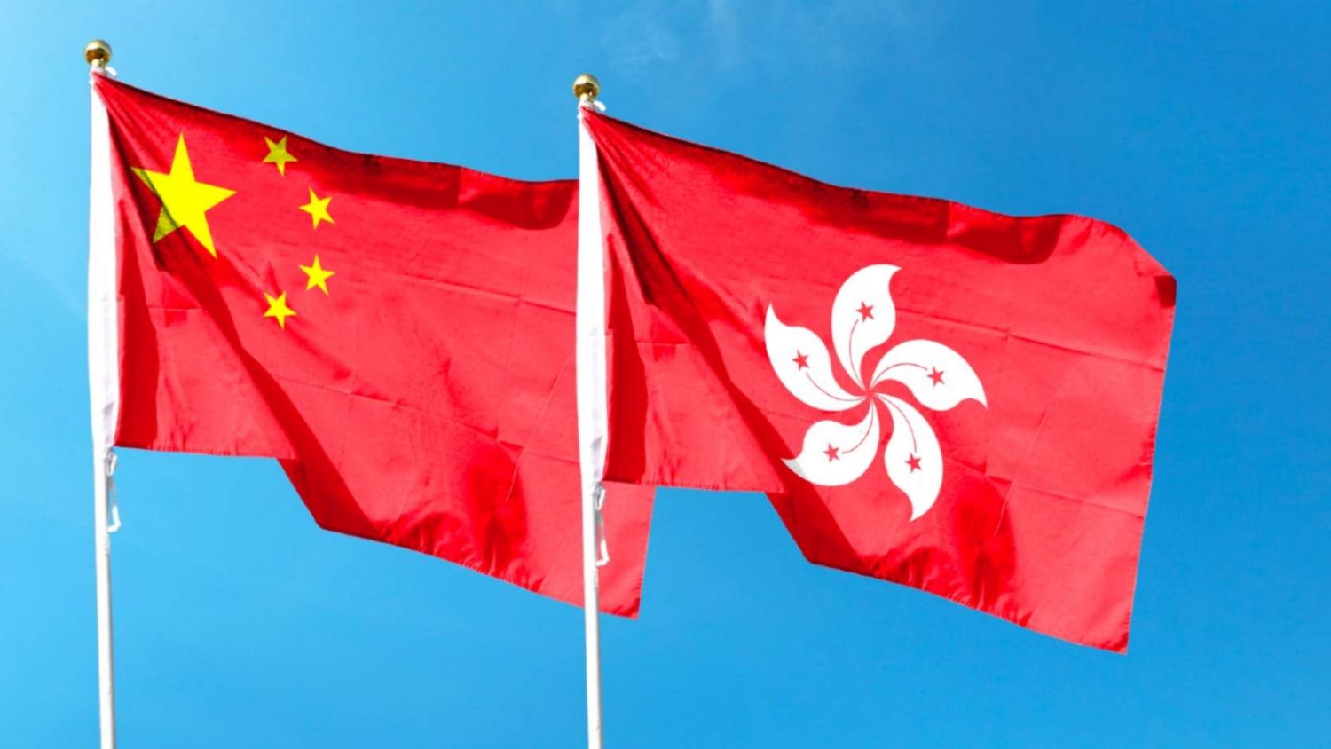 新民黨全力支持陳國基親赴日內(nèi)瓦捍衛(wèi)香港的人權表現(xiàn)