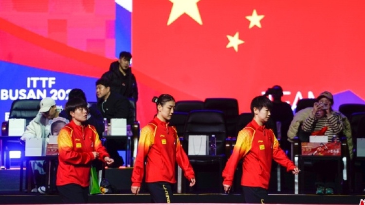 祝賀！國乒女隊釜山世乒賽女團冠軍