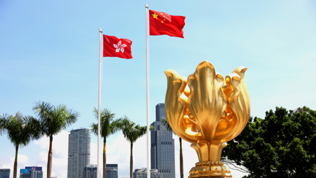 第十四屆港區(qū)全國人大代表熱烈歡迎立法會全票通過《維護國家安全條例》