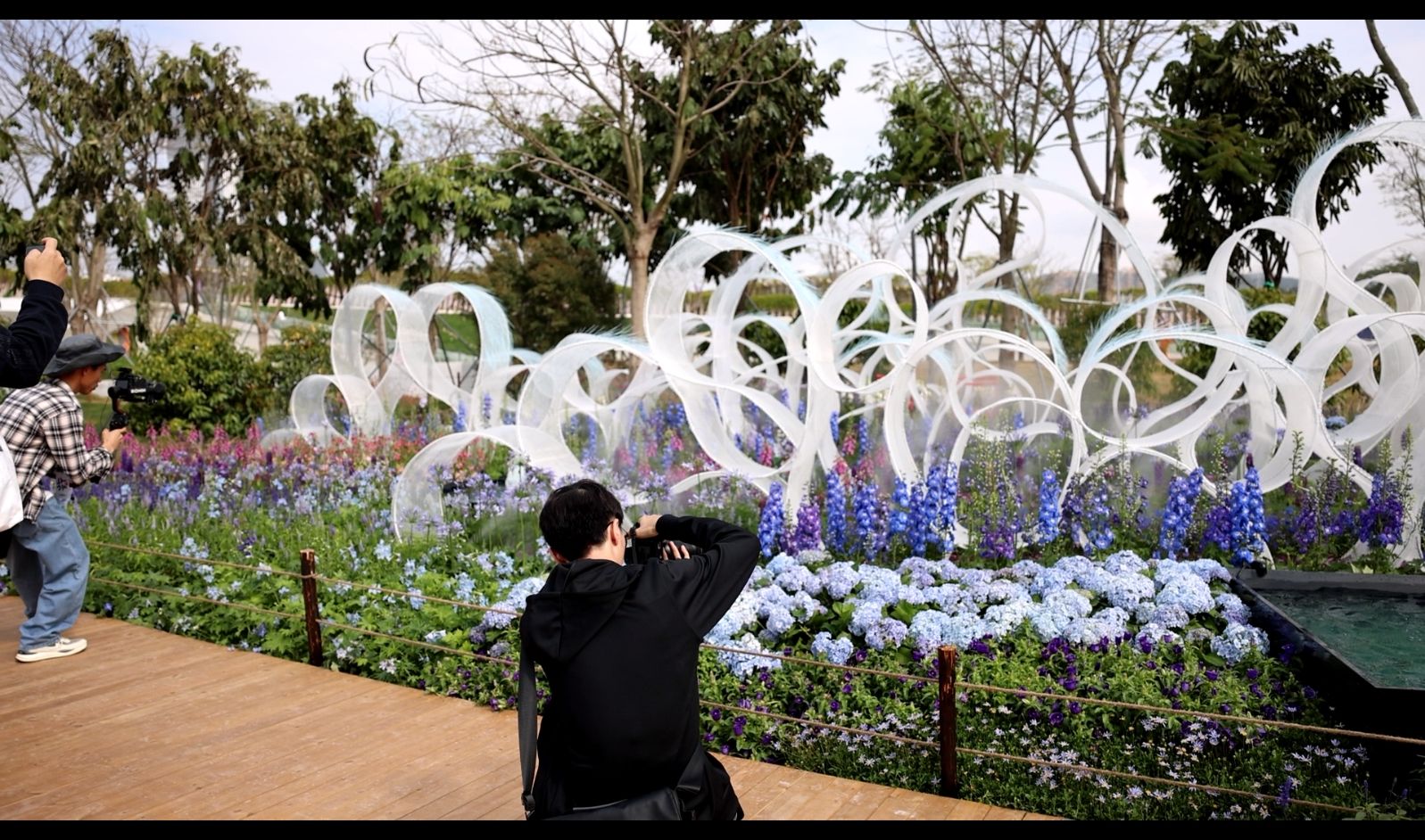 綠美灣區(qū)，詩意繁花丨2024粵港澳大灣區(qū)花展啟幕