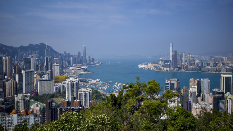 全國首個(gè) 規(guī)格最高 只在粵港澳三地招人！