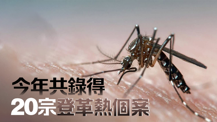 4月19至25日錄得1宗登革熱本地個(gè)案及2宗外地傳入個(gè)案