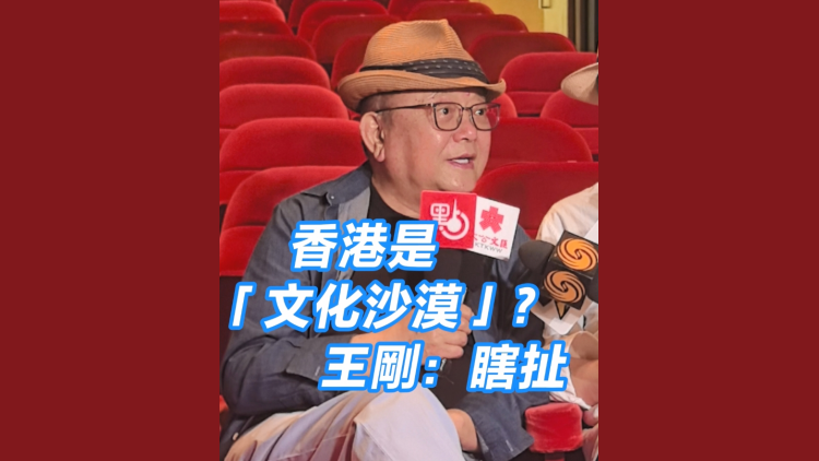 有片 | 香港是「文化沙漠」？  王剛：瞎扯