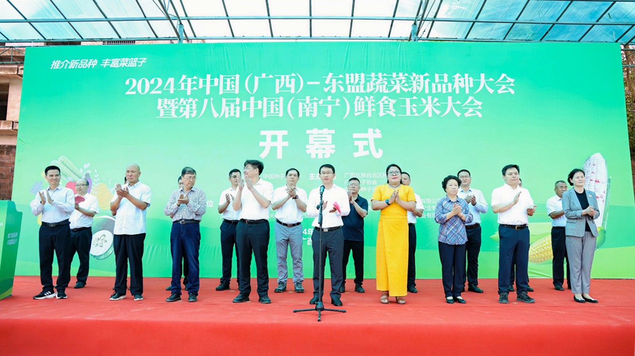 1658個(gè)優(yōu)新品種亮相2024年中國（廣西）—東盟蔬菜新品種大會(huì)