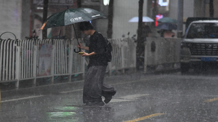 深圳市交通運(yùn)輸局發(fā)布2024年暴雨天氣出行指引