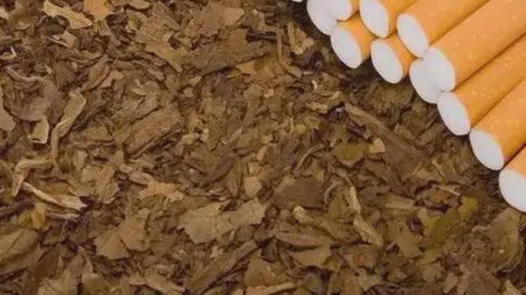 食環(huán)署巡查市面多個(gè)零售點(diǎn) 發(fā)現(xiàn)一宗售賣咀嚼煙草產(chǎn)品個(gè)案