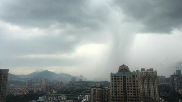 深圳分區(qū)暴雨橙色預警信號生效中！