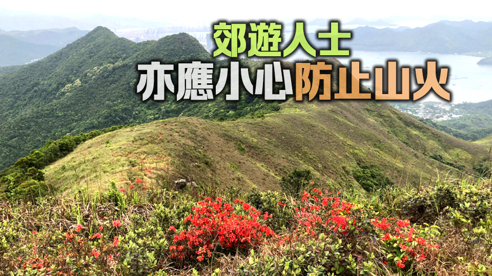 天文臺發(fā)黃色火災(zāi)危險(xiǎn)警告 市民應(yīng)小心防火