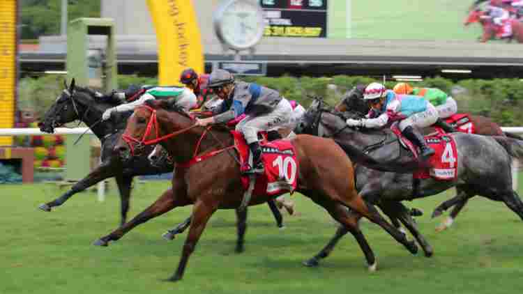 有片 | 愛駒馬力一出即勝 馬會(huì)主席利子厚同太太開心拉頭馬