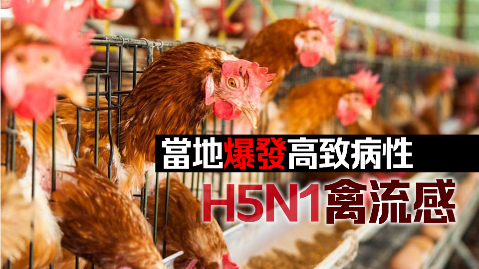 本港暫停進(jìn)口日本和美國部分地區(qū)禽肉及禽類產(chǎn)品