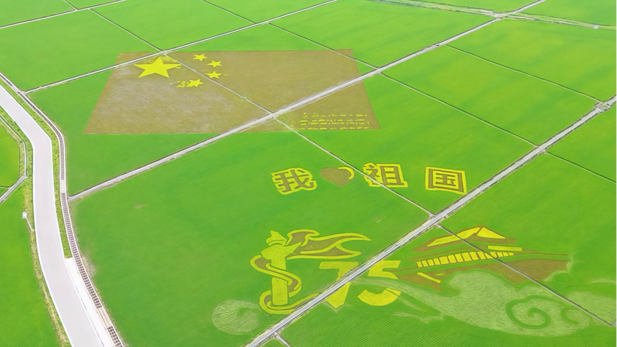 長春市雙陽區(qū)曙光村：「三變」舉措促振興 產業(yè)融合煥生機