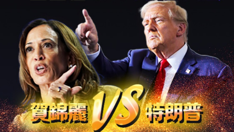 一圖看懂 | 2024年美國大選：白宮之爭，誰將勝出？