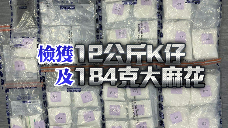 警方天水圍拘捕2男 涉嫌販毒 檢值500萬(wàn)元K仔及大麻花