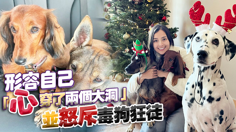 藝人謝嘉怡兩愛(ài)犬誤食路邊毒肉亡 警列殘酷對(duì)待動(dòng)物