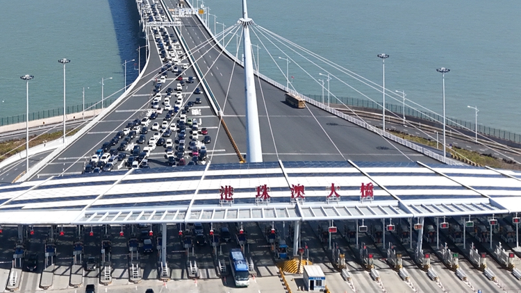 港珠澳大橋去年客流車流量創(chuàng)新高