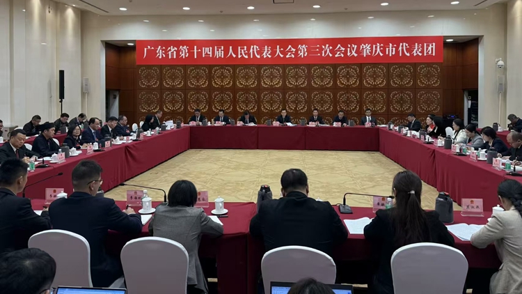 「九九」戰(zhàn)略賦能，肇慶奮進大灣區(qū)建設潮頭