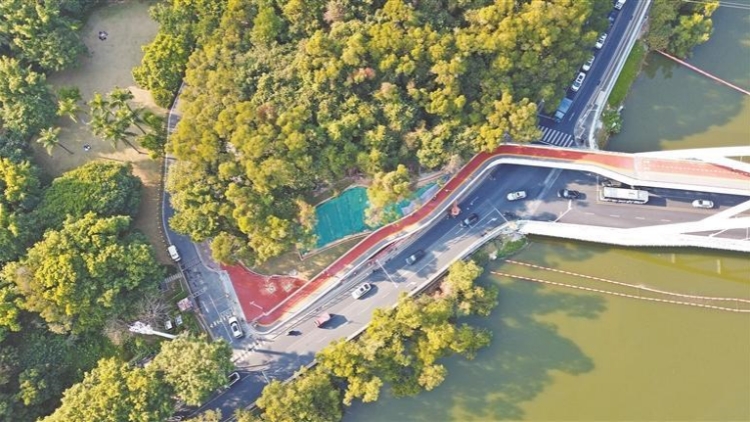 6公里環(huán)深圳水庫綠道等你來探 大望橋二層觀光綠道開通