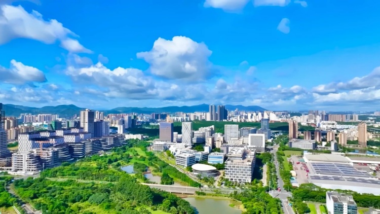 GDP增長(zhǎng)9%！工業(yè)硬核擔(dān)當(dāng)！深圳坪山  交出2024年高質(zhì)量發(fā)展答卷
