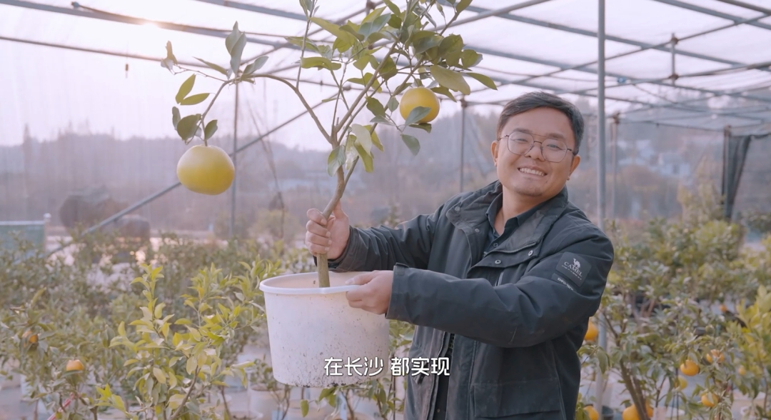《在長沙 都實現(xiàn)》第十一集：長沙這片土壤，能種出什麼樣的果子？