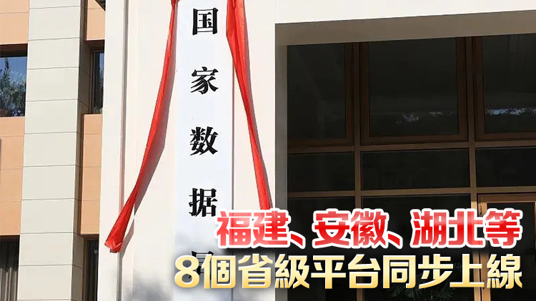 國家公共數據資源登記平臺上線試運行