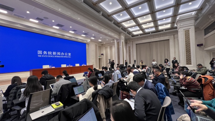 《政府工作報(bào)告》起草組負(fù)責(zé)人沈丹陽出席吹風(fēng)會解讀報(bào)告