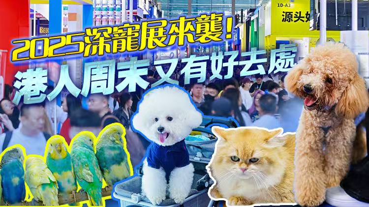 「老廣版」寵糧、寵物版「破地獄」......第13屆深寵展「有咩睇」？
