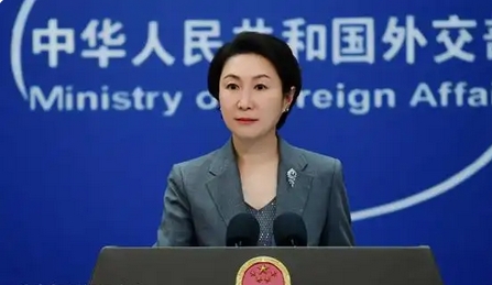 4名加拿大公民在中國被執(zhí)行死刑，外交部回應