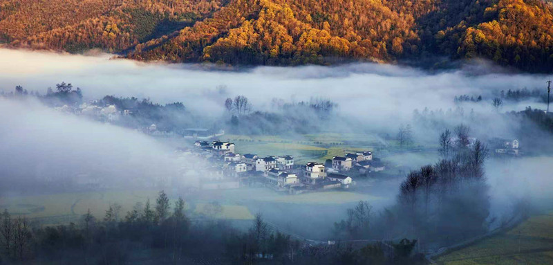 風(fēng)景照成柯村「招貼畫」——一個(gè)土菜館老闆鏡頭裏的鄉(xiāng)愁與眷戀