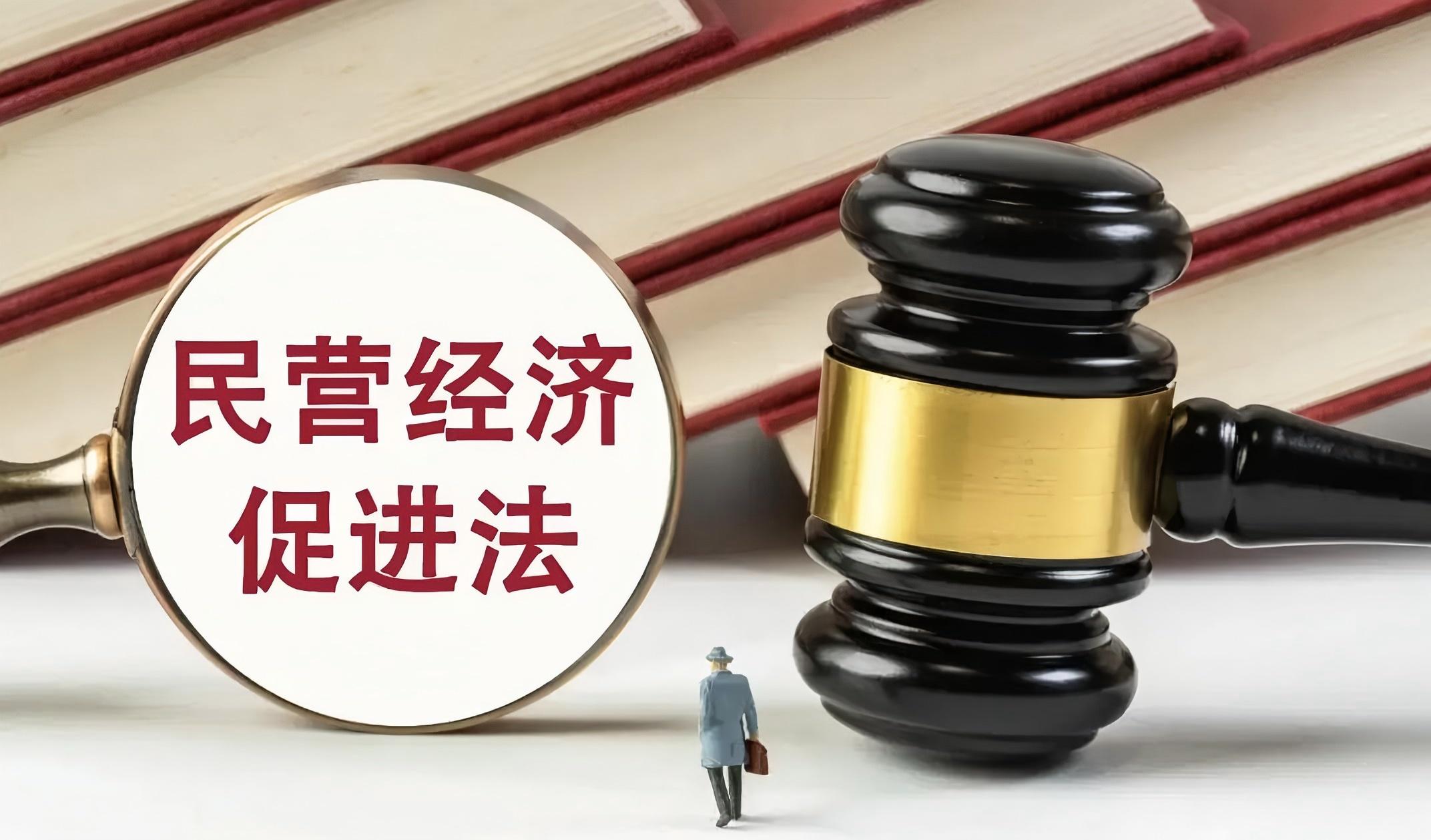 民營經(jīng)濟(jì)促進(jìn)法：一部「大合規(guī)」法律的深層解讀——論制度設(shè)計中的合規(guī)基因與生態(tài)構(gòu)建