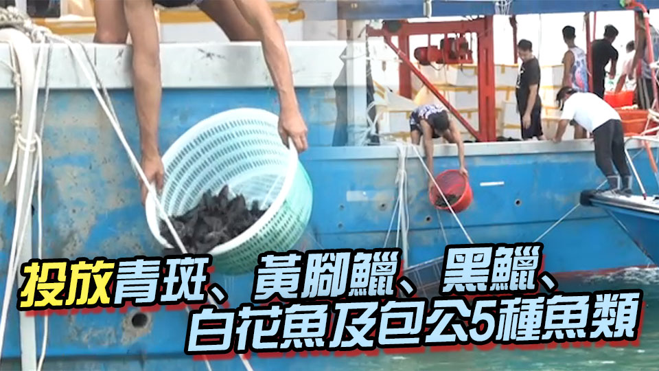 機(jī)管局投放6萬幼魚 冀提升香港西部水域生物多樣性