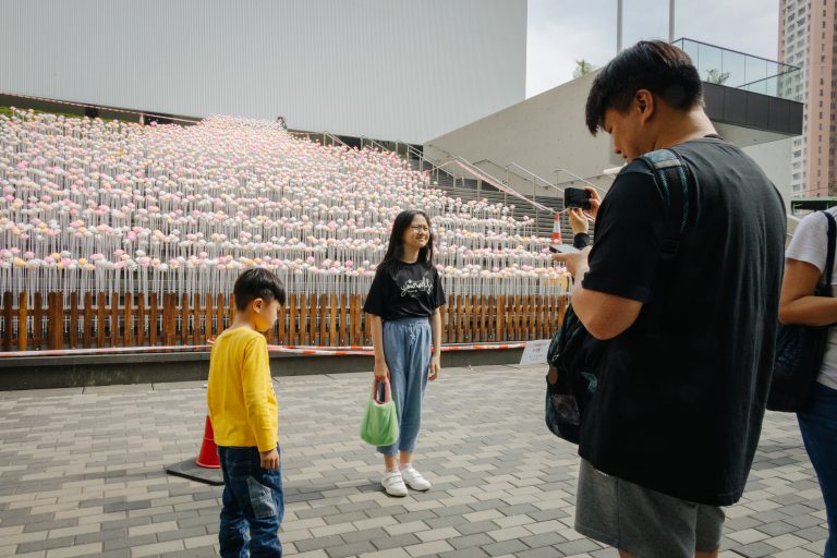 市民爭(zhēng)相與花海合照。